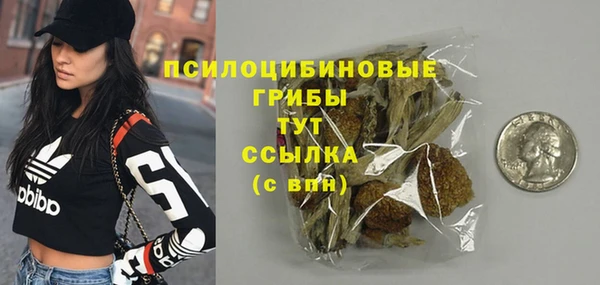 мет Белокуриха