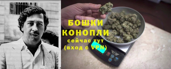 мет Белокуриха