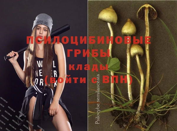 трава Беломорск
