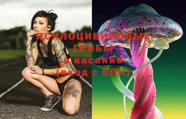 мет Белокуриха