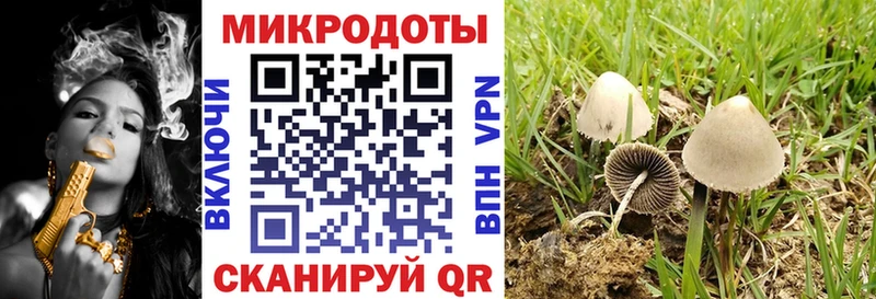 Псилоцибиновые грибы Psilocybe  нарко площадка Telegram  Советск 